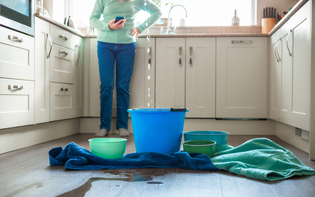 What to Look for in Winchester Water Damage Companies