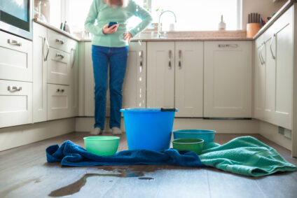 water damage companies winchester