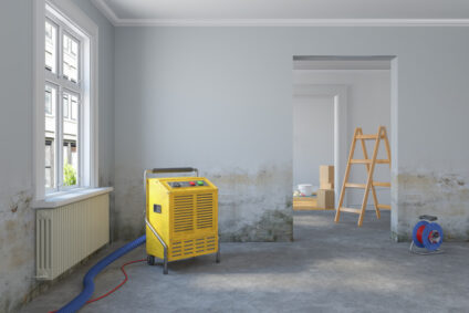 What to Expect During Mold Remediation in Winchester, VA